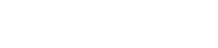 Multimedia Graphics